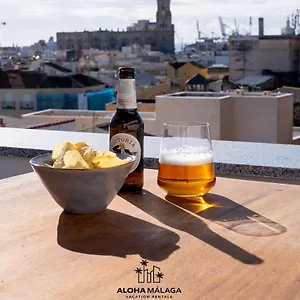 Luxury Duplex With Pool And Padel Court In Town Appartement